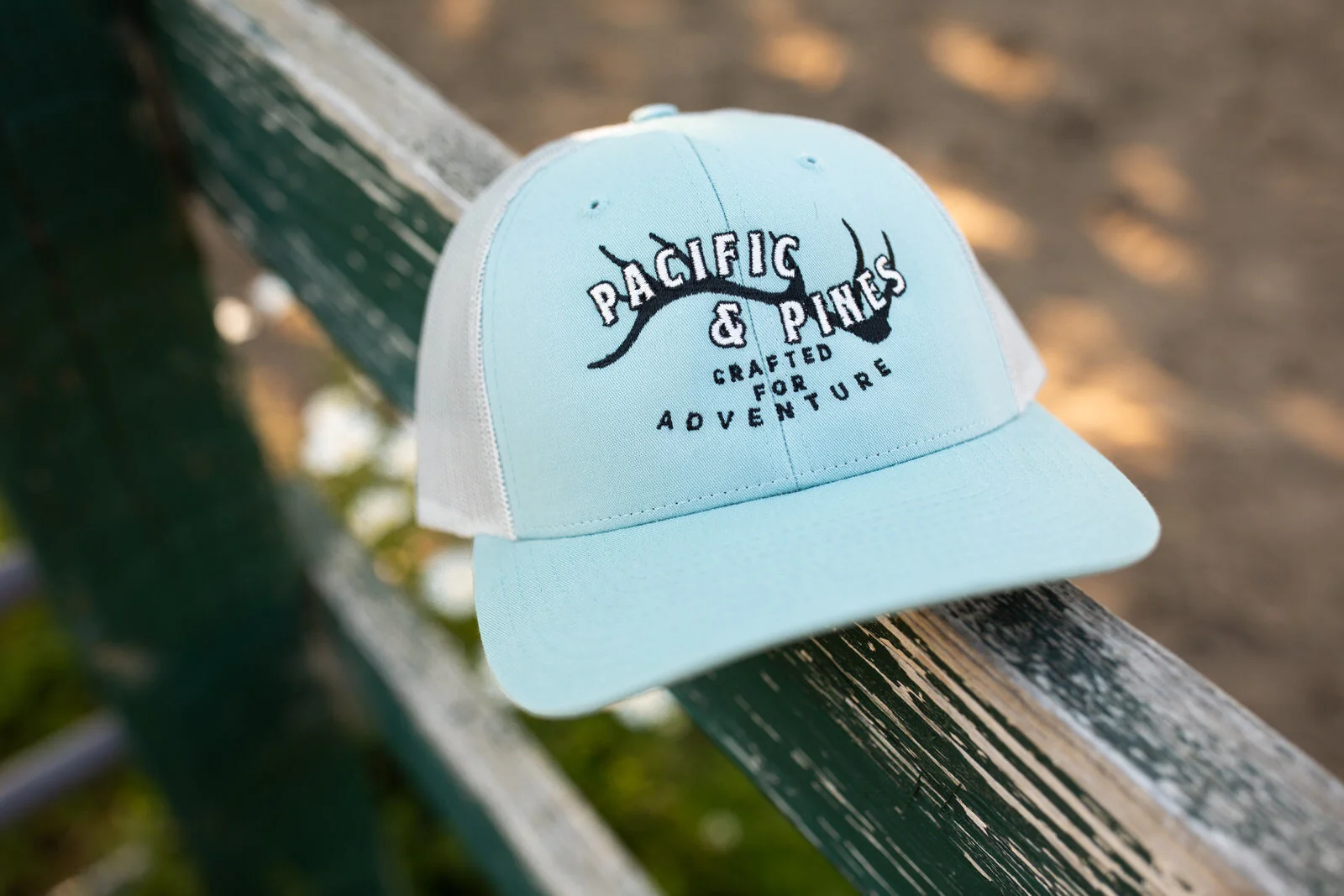 Pacific and Pines--22.JPG