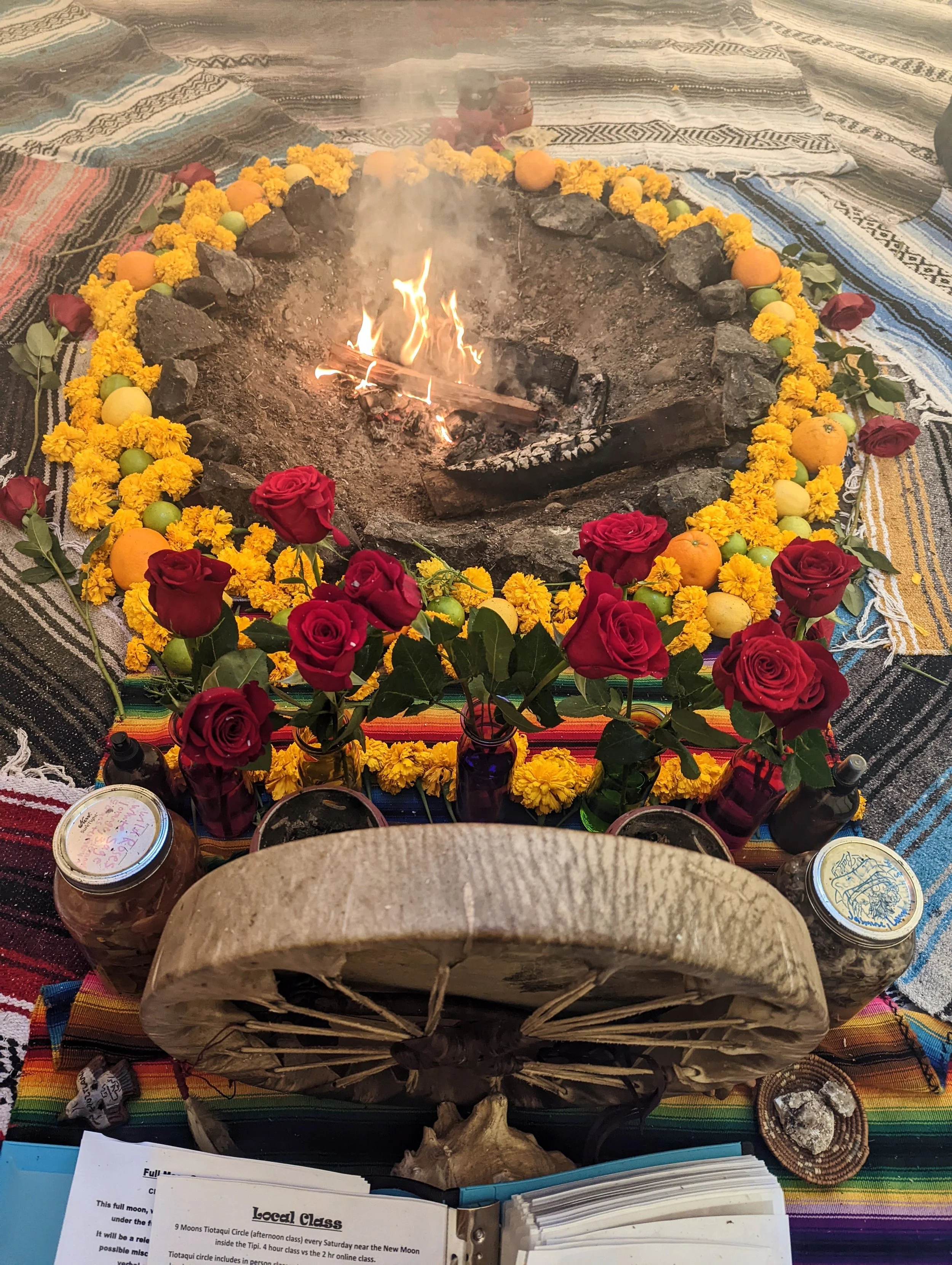 Online 9 Moons Series