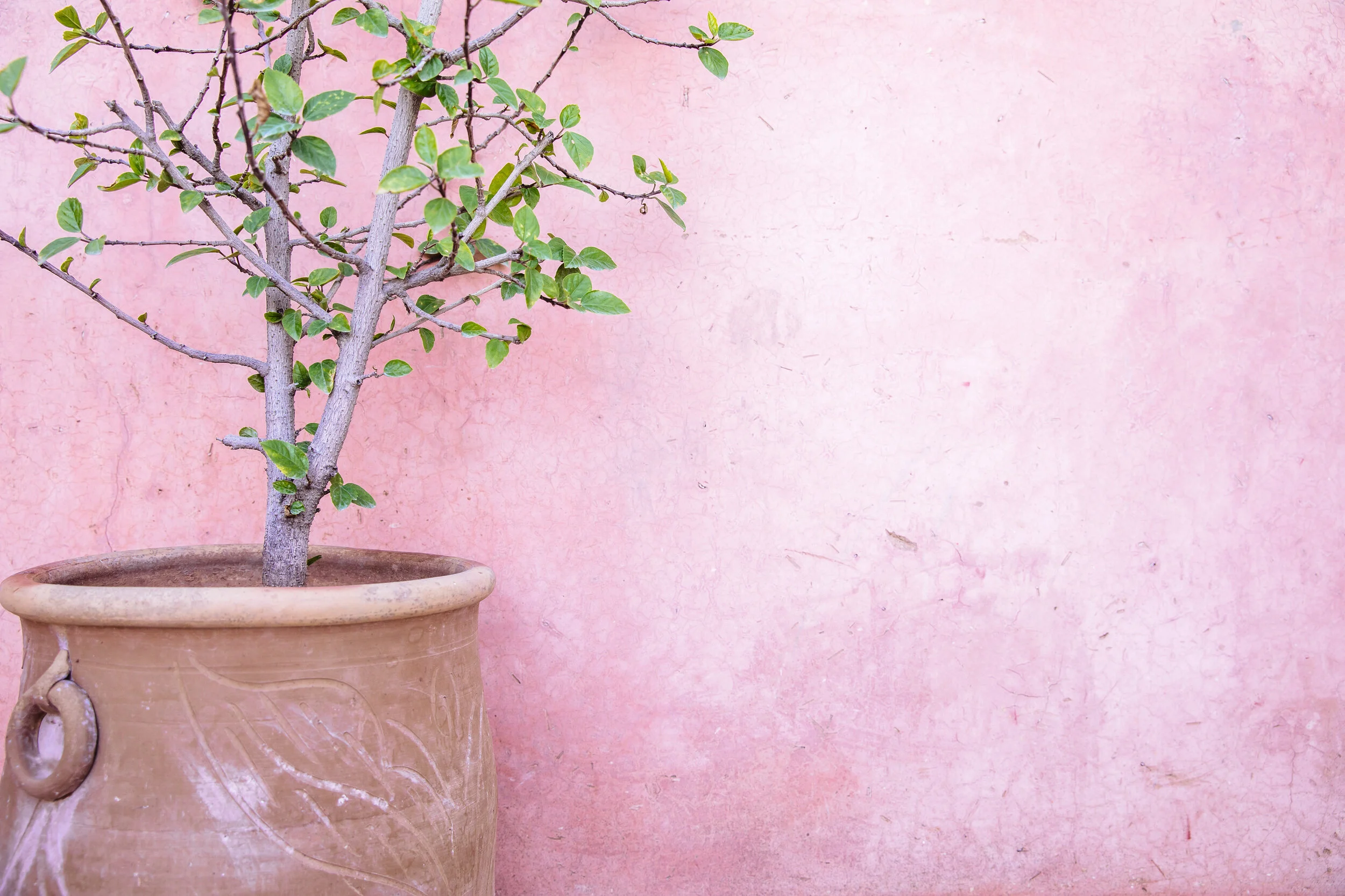 Marrakech: The pink city