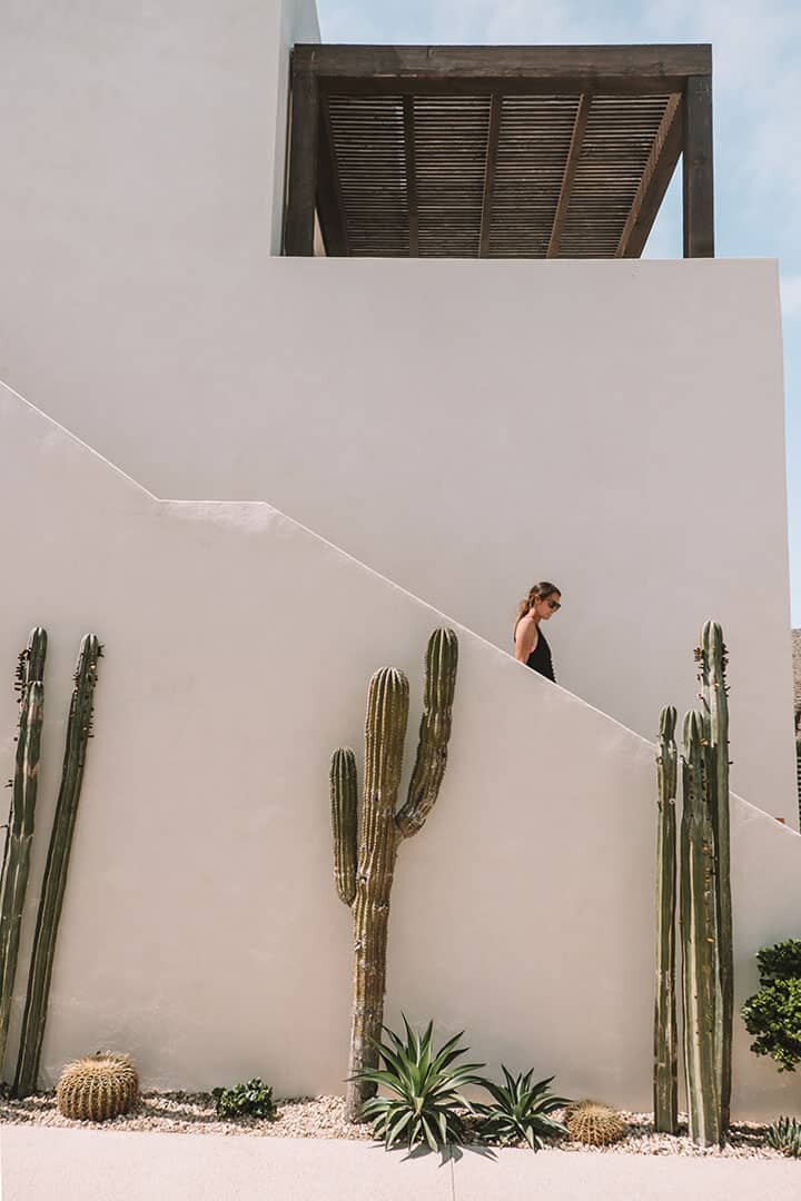 Todos Santos Yoga retreat (Copy)