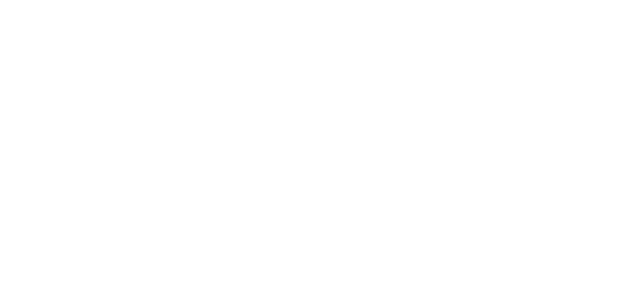 Skio.png