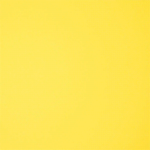 Kids-Lunch-a.gif