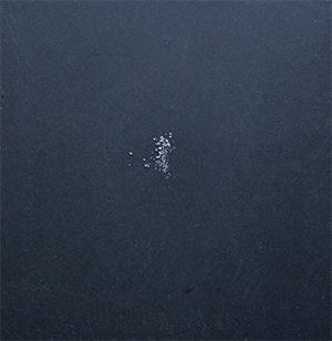 OG-stick-ingredients-ad (1).gif