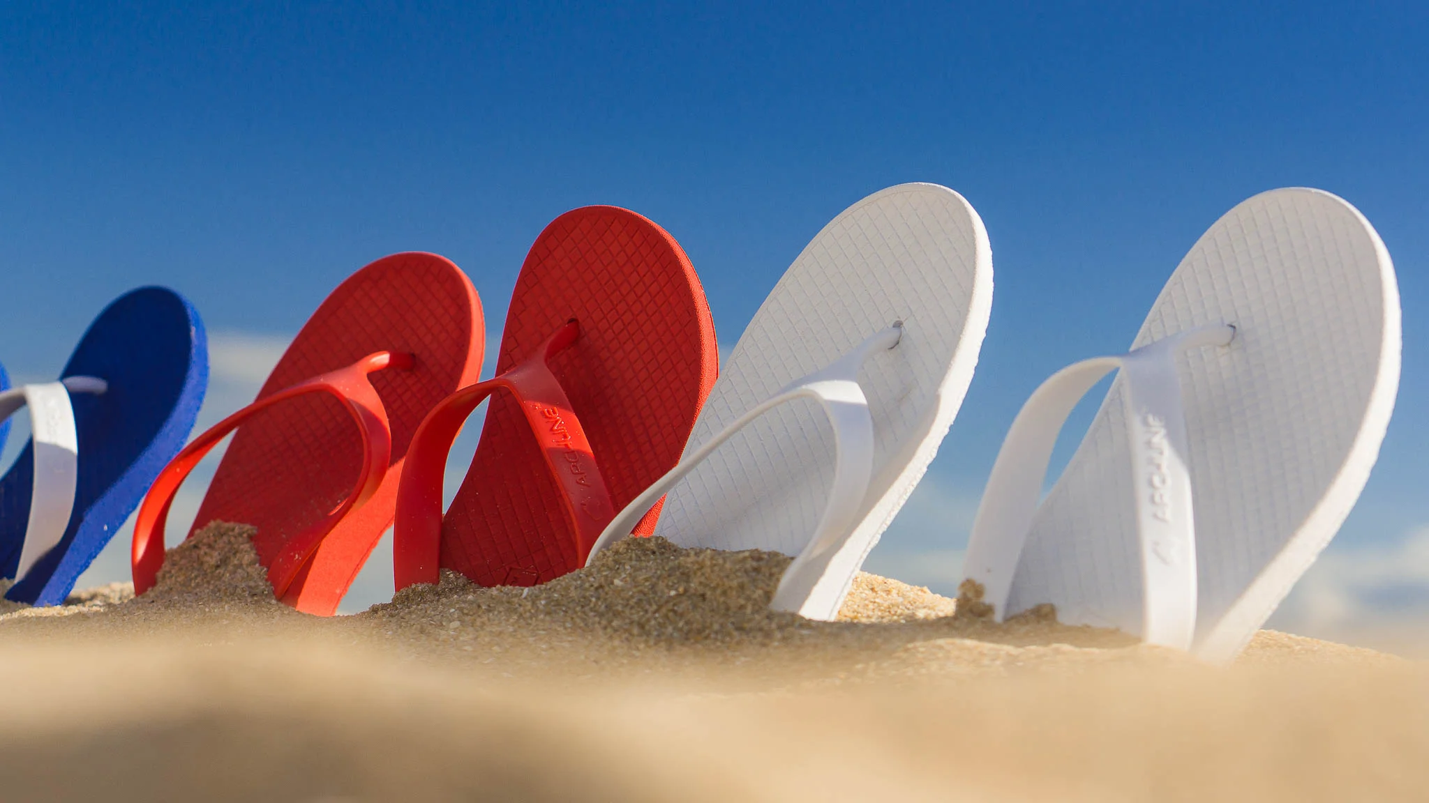 Axign Product 1-58.jpg