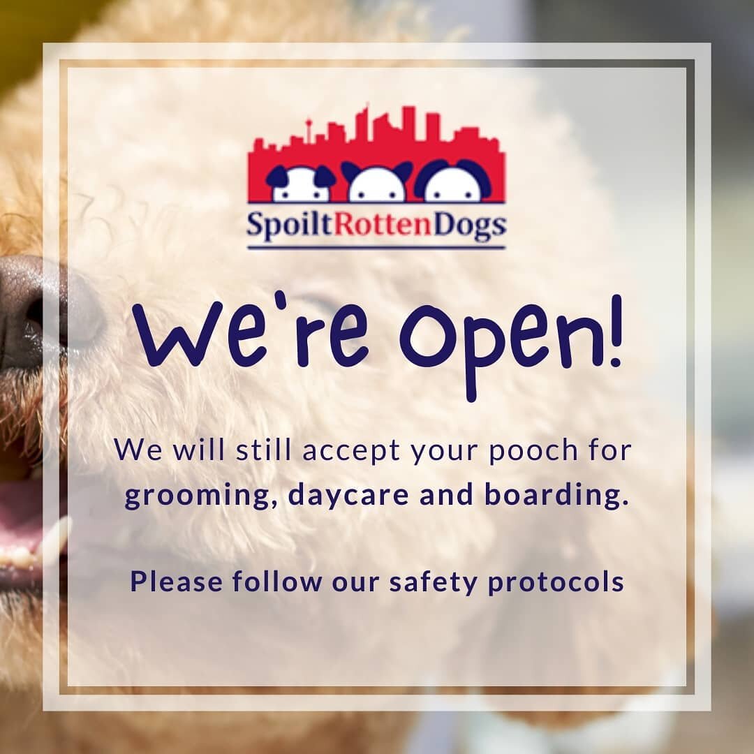 We will remain open in the next 2 weeks and accept your pooch for grooming, day care and boarding. For everyone&rsquo;s safety, please follow these protocols:
🐶Scan QR to sign in
🐶Face-to-face transactions will be shorter
🐶Wear a mask during drop 