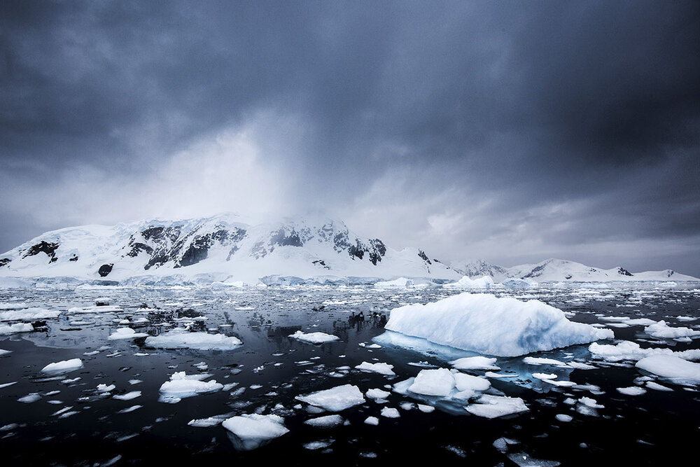 fr2021-_0019_paradise harbour 20x16 antarctica.jpg