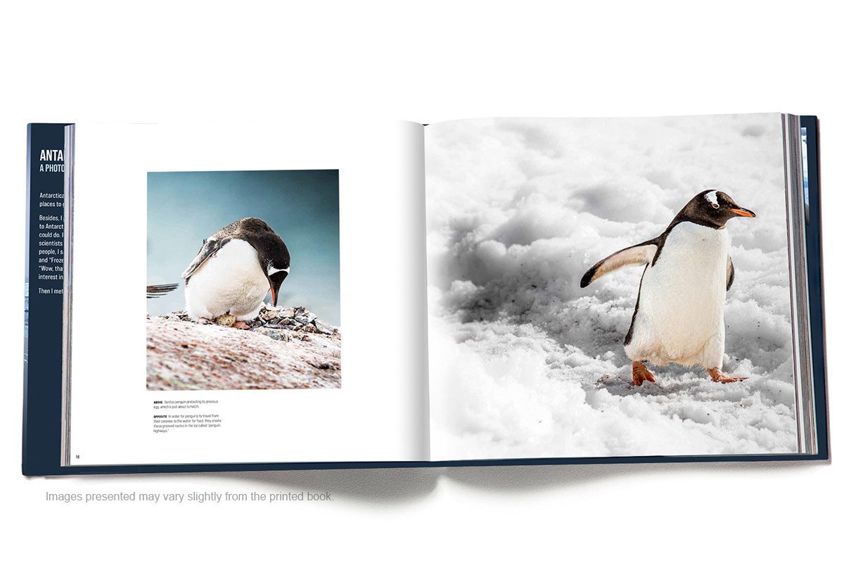 slides-for-book-on-website-cuverville-island.jpg
