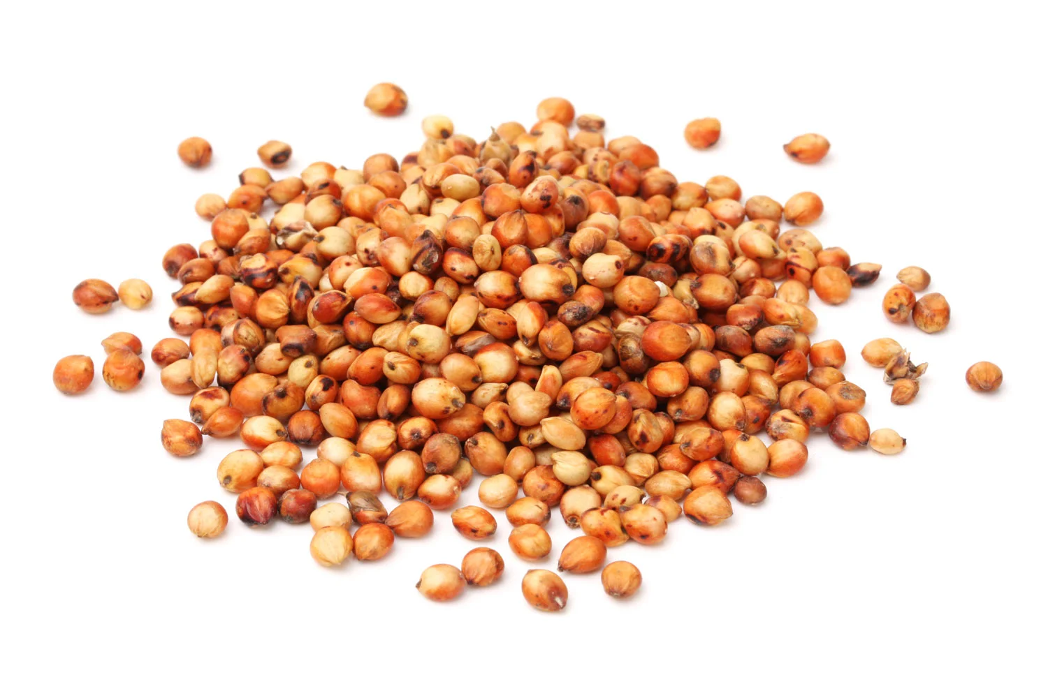 20140203-grains-sorghum.jpg