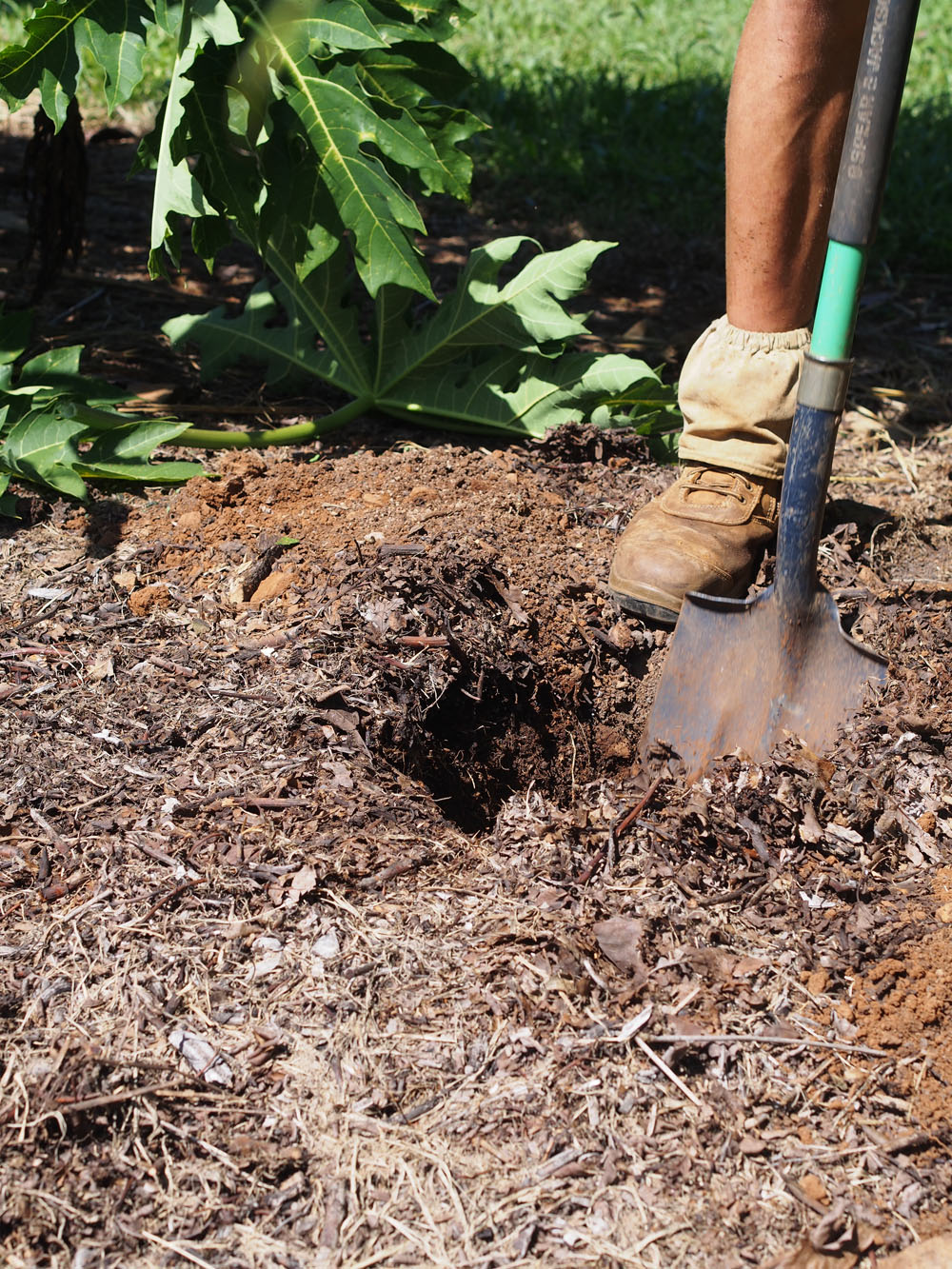 Hole digging_hi.jpg