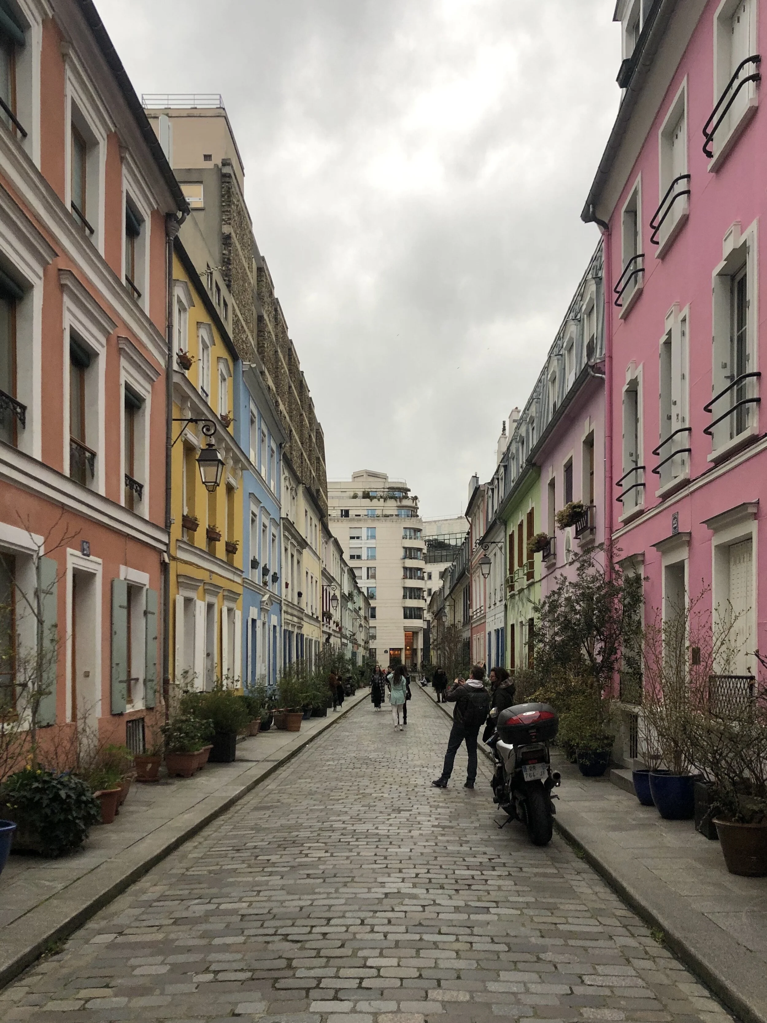 Studying Abroad During an Epidemic, Official Yelp Review