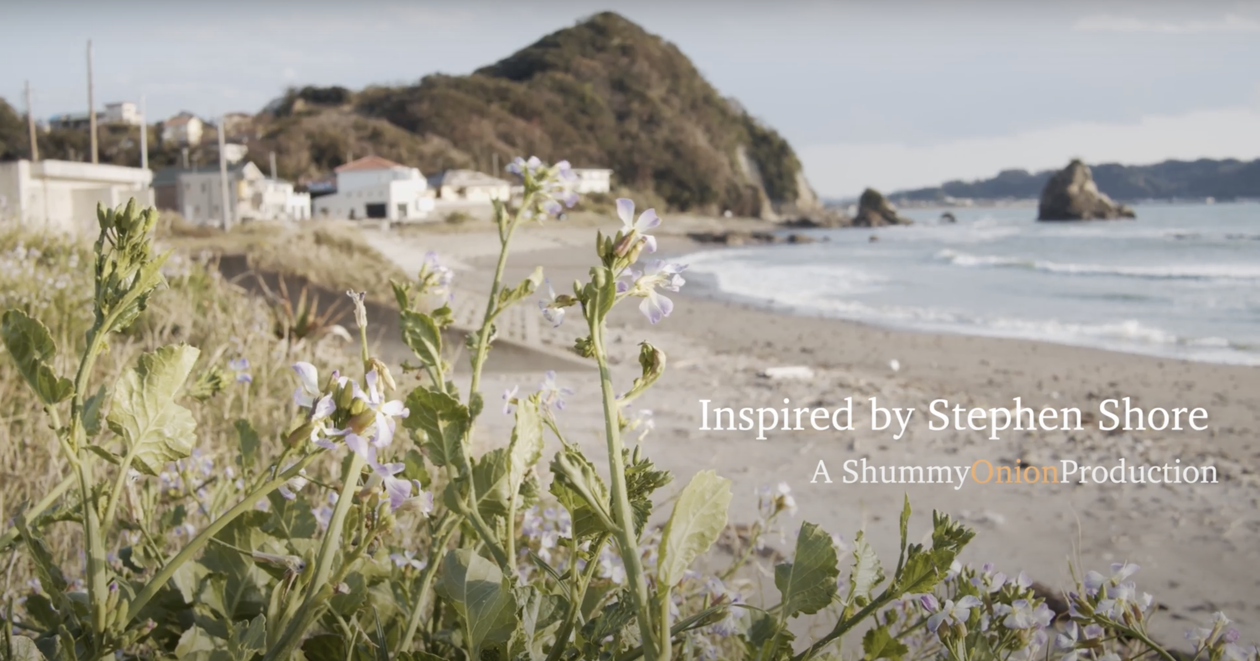 Uncommon Places