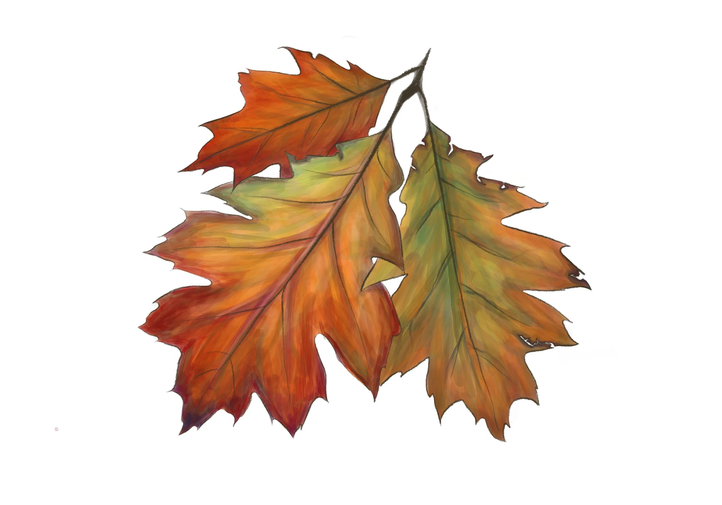 Pantone Colors of Fall 2020
