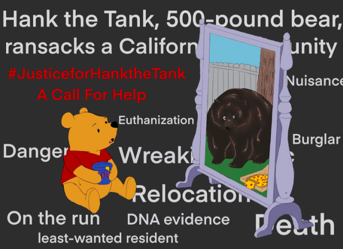 #JusticeforHankTheTank: A Call For Help