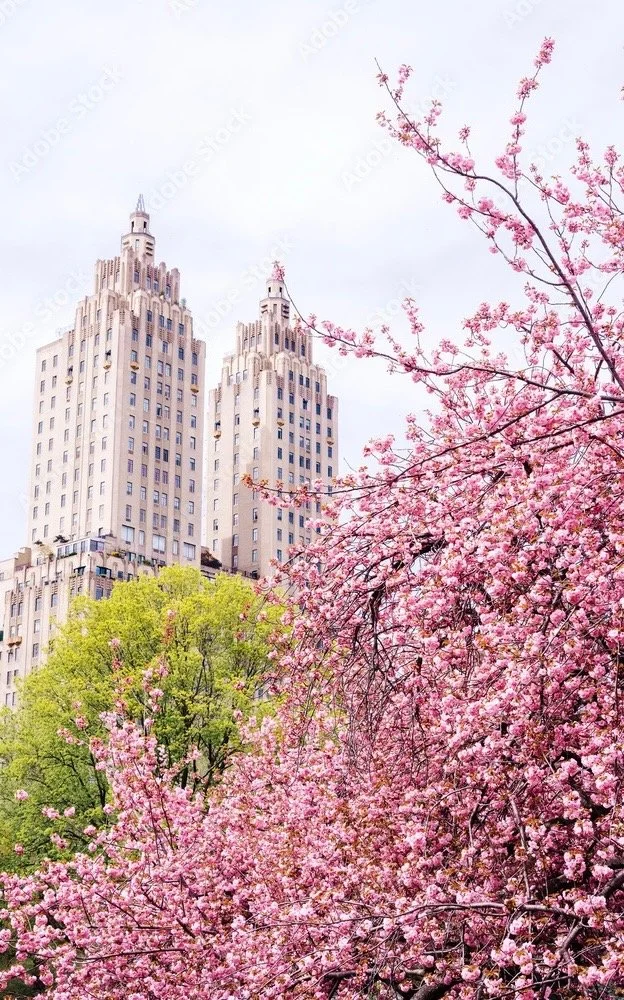 Why March Feels Like the Real New Year