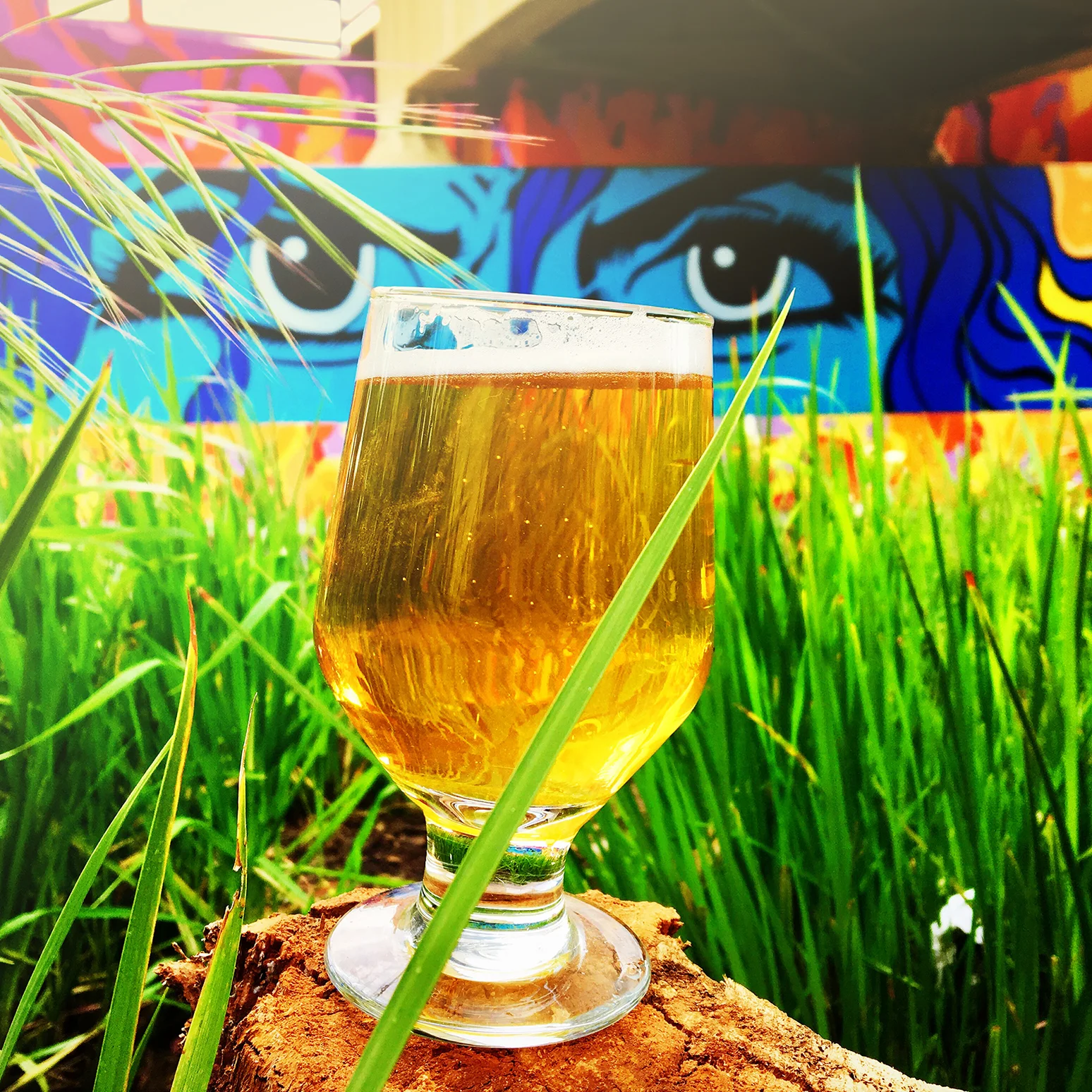 Mostly Harmless Cream Ale_square.jpg