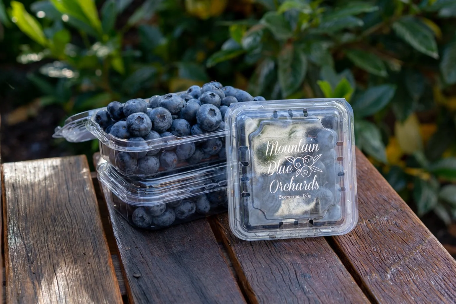 Mountain Blue Orchards Mountain Blue