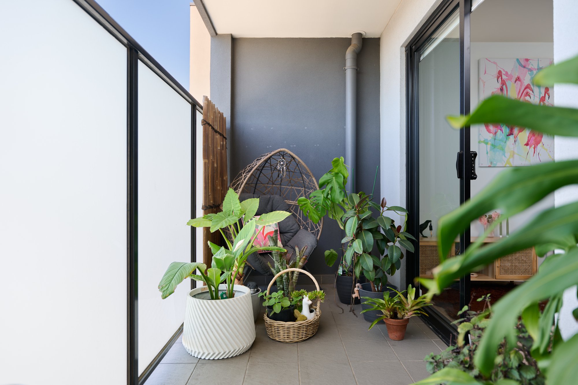 19_366 Pascoe Vale Road, Strathmore-WEB-_TZ84609.jpg