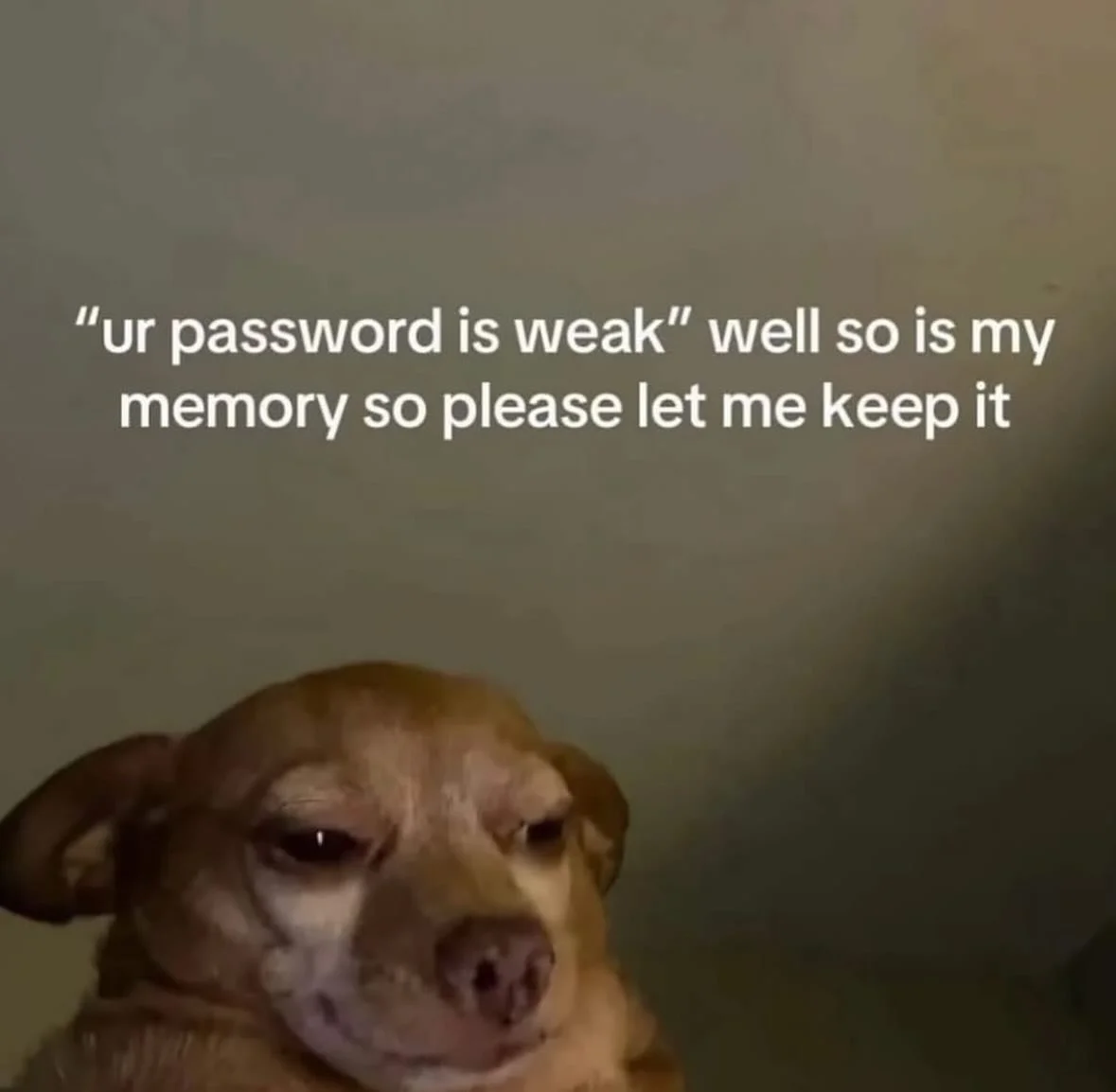 Happy Monday! 

Part of my winter dopamine menu is going through and finding memes that either make me laugh, validate me, or both! 

Here are some recent ones I&rsquo;ve found! Enjoy! 😂

sourced from @emotionalclub