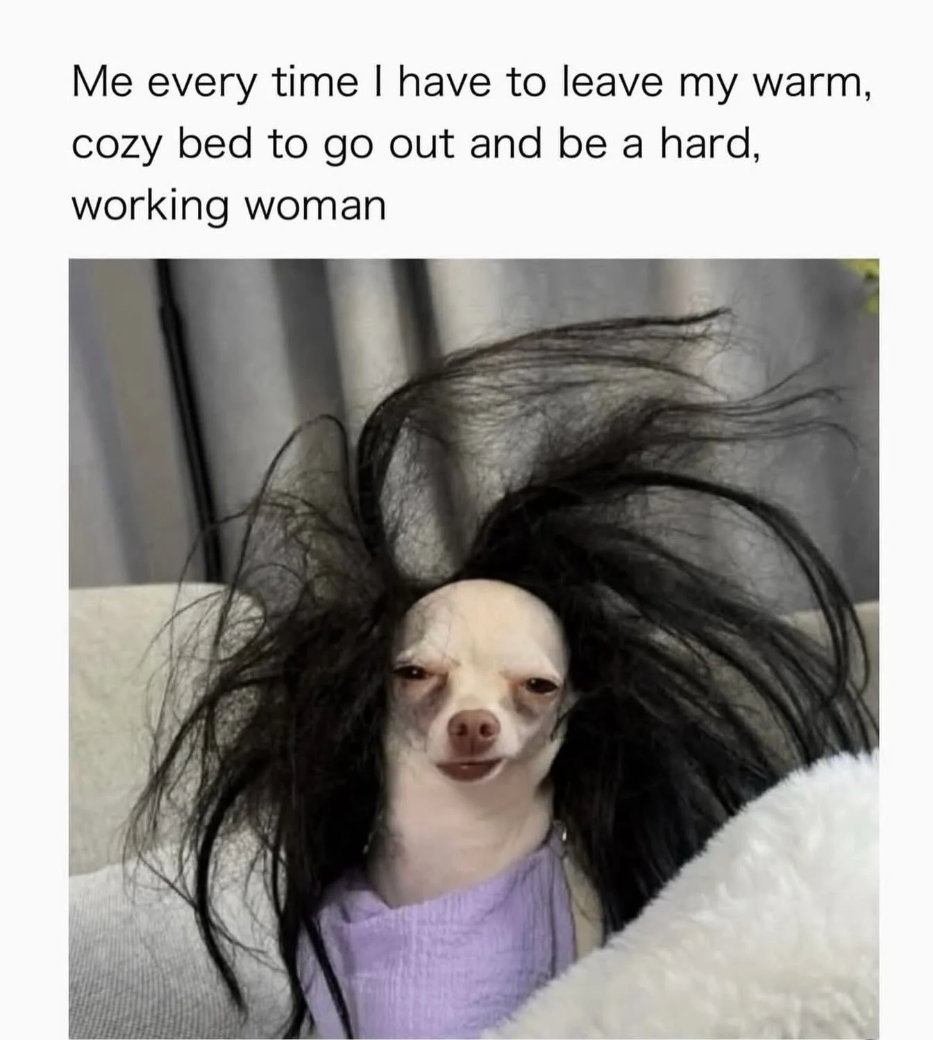 Wondering how I&rsquo;m adjusting to being back in the cold? This is a great representation 😂