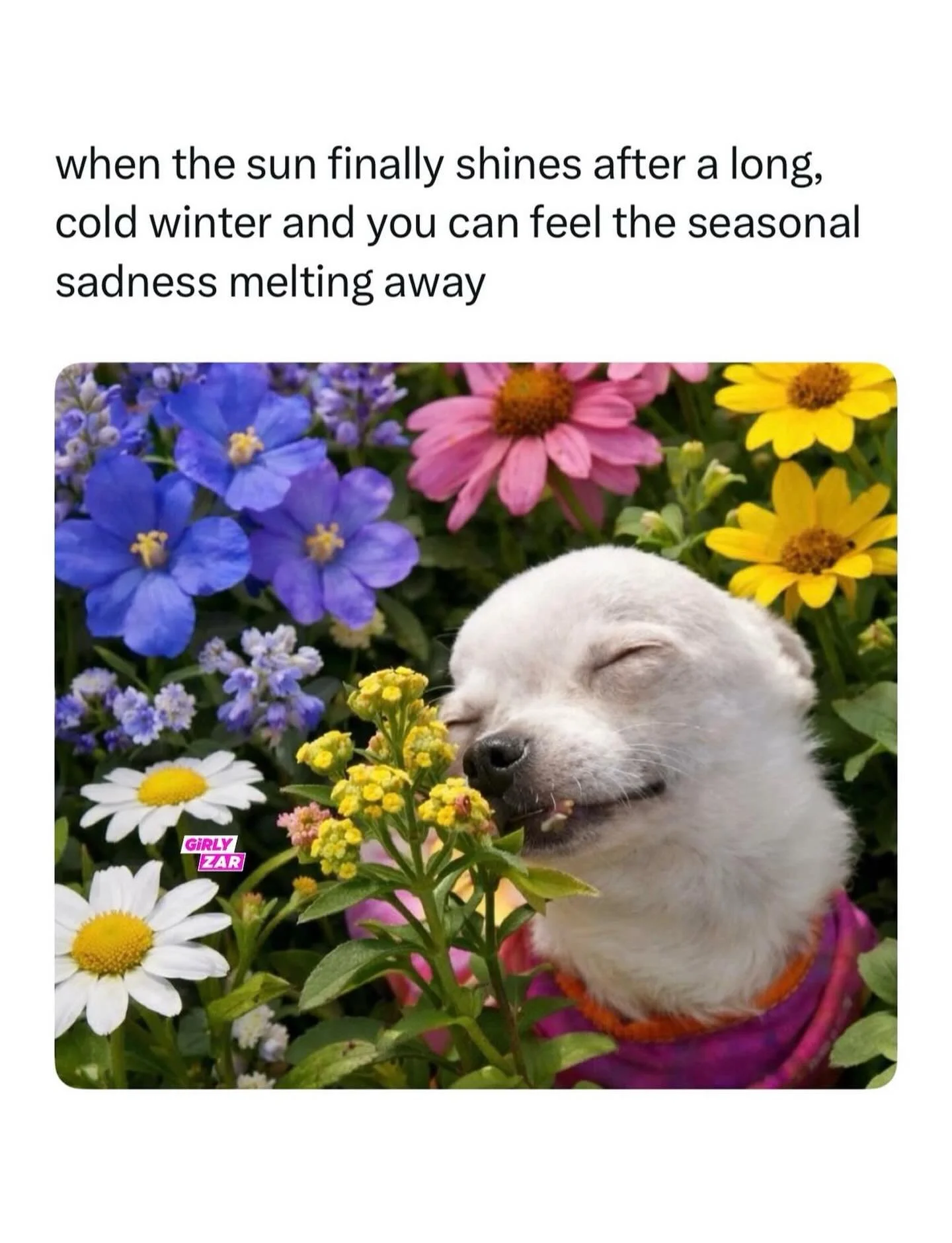 my body has been working overtime to adjust back to the cold but I think we made itttttt 

Midwest girlies - we defrosting and ready to shake our asses this spring and summer?! 🙌🏻❤️&zwj;🔥