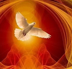 dove-4191376_640 cut.jpeg