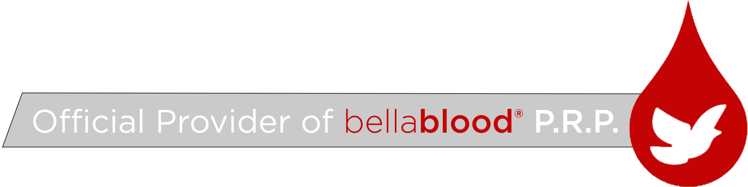 vinyl bellablood 16x4.png
