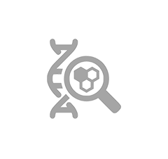 research-icon.png