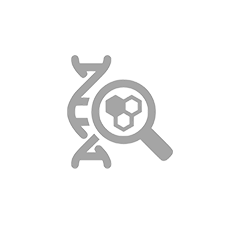research-icon.png