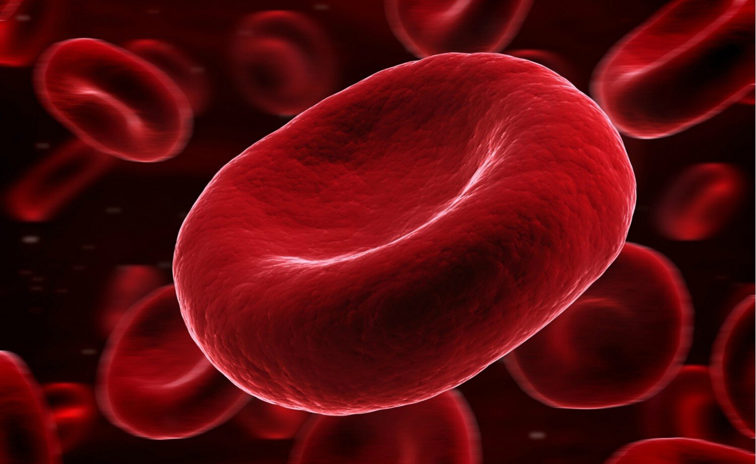 163967-11062015-1433984815-1567043961-0914_BLOOD_lg.jpg