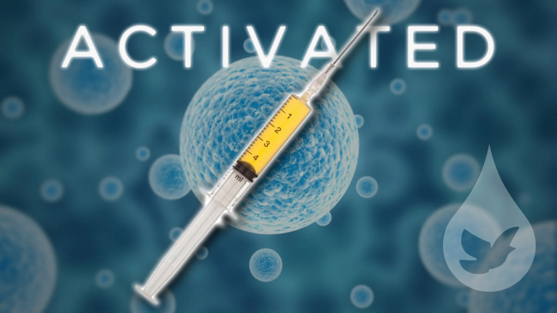 activated prp step 4 activator syringe bellablood.jpg