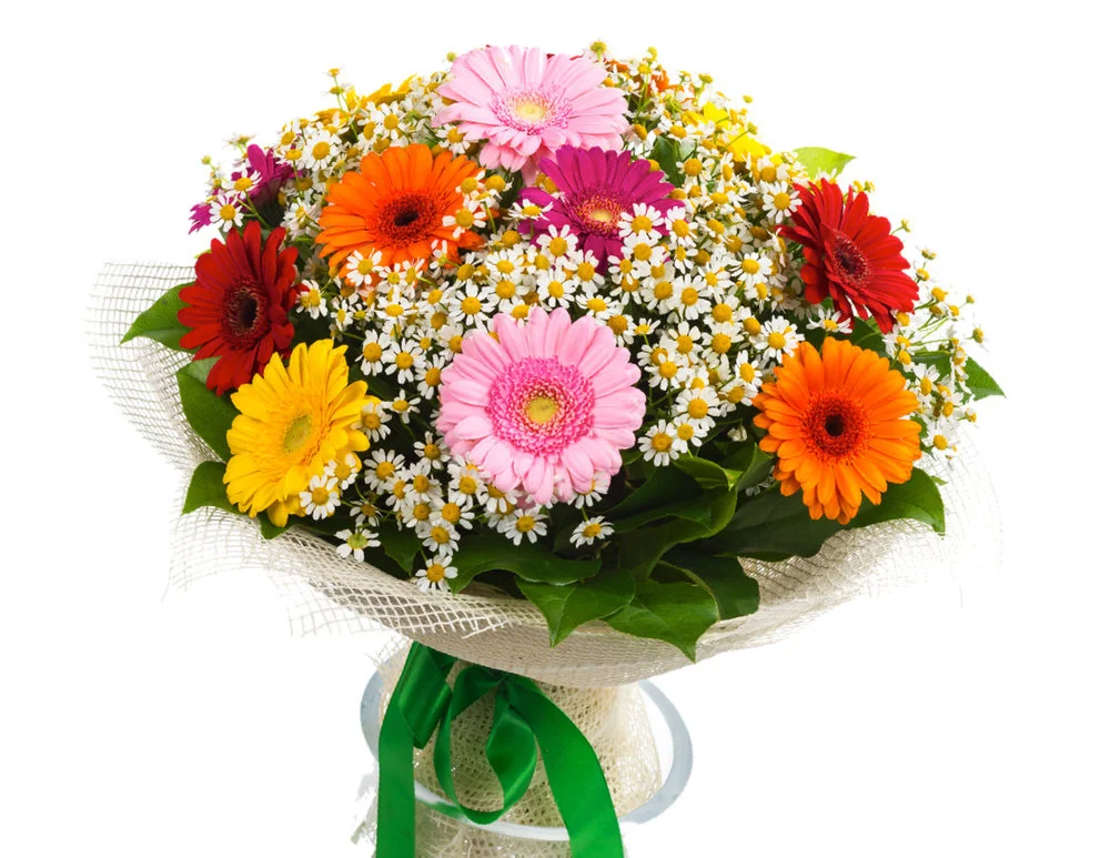 flower_sp.jpg