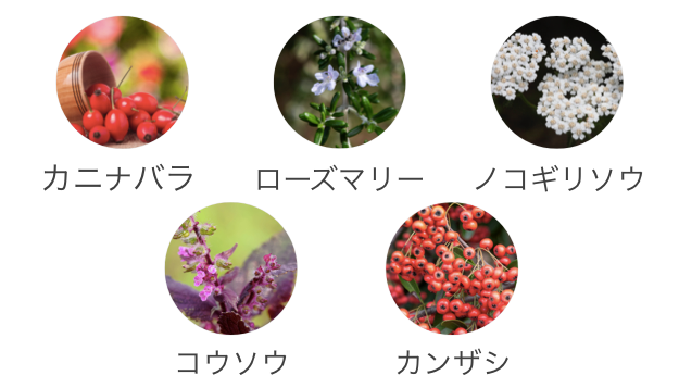 オーガニック原料.png