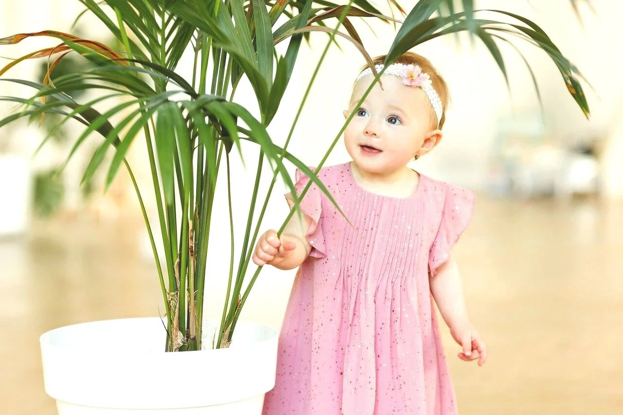 21年の補助金 助成金を賢く活用 おすすめ人気家事代行 ベビーシッターサービスまとめ Famm ファム 家族アルバムや無料フォトカレンダー フォトアルバムなどで 子育てをもっと楽しく 21年の補助金 助成金を賢く活用 おすすめ人気家事代行 ベビーシッターサービスまとめ Famm ファム 家族アルバムや無料フォトカレンダー フォトアルバムなどで 子育てをもっと楽しく