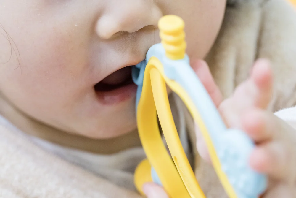 21年 歯固めおすすめ10選 選び方もご紹介 Famm ファム 家族アルバムや無料フォトカレンダー フォトアルバムなどで 子育てをもっと楽しく