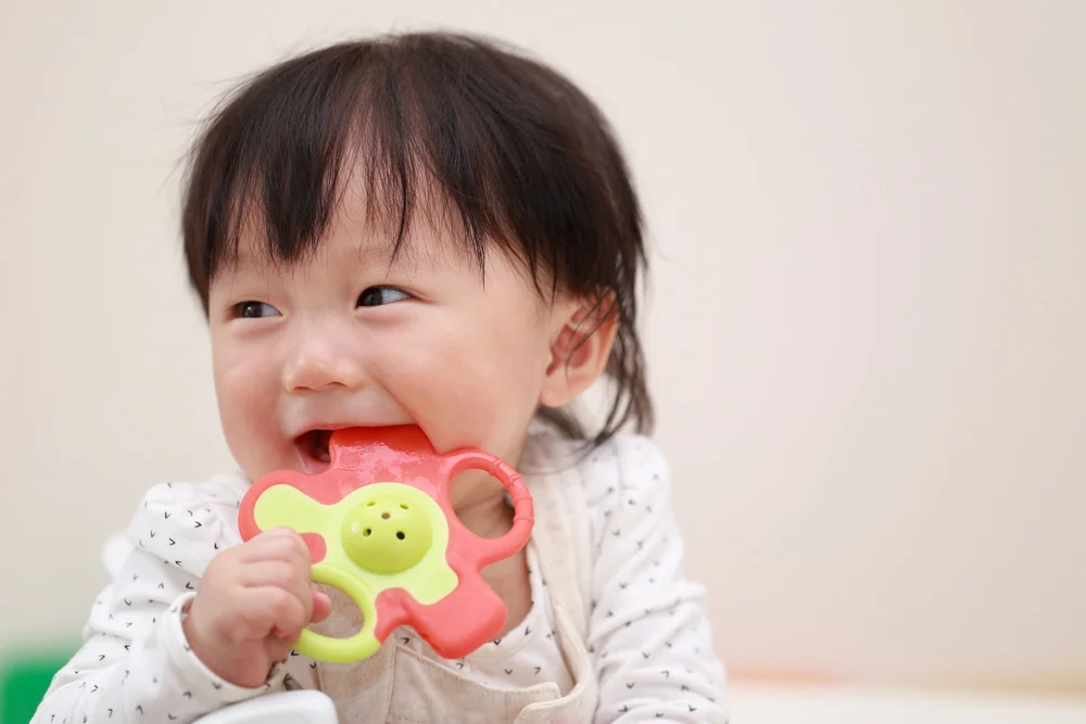 21年 歯固めおすすめ10選 選び方もご紹介 Famm ファム 家族アルバムや無料フォトカレンダー フォトアルバムなどで 子育てをもっと楽しく
