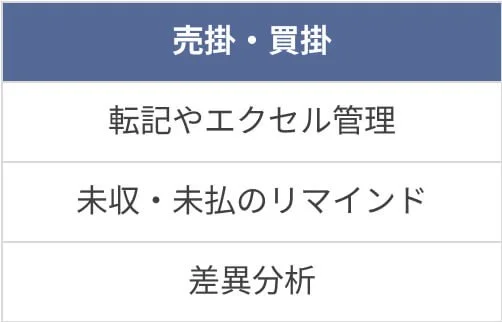 Fammアカウンティングの支援領域 03.jpg