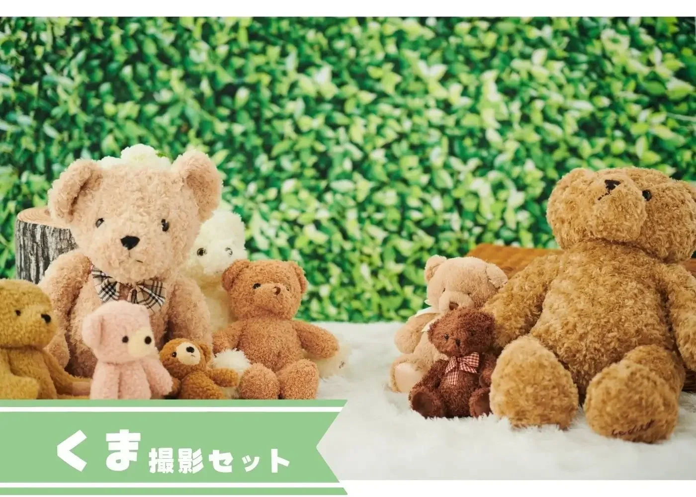 はいチーズ　LP用+(42).webp