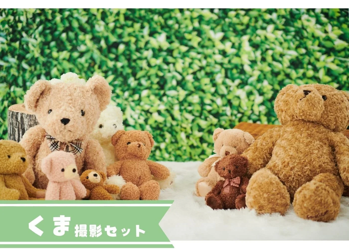 はいチーズ　LP用+(42).webp