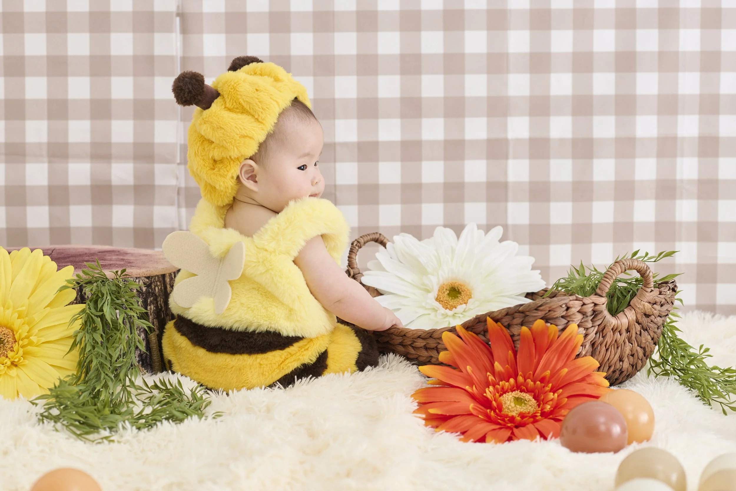 model_mitsubachi_240114Sen056 (2).jpg