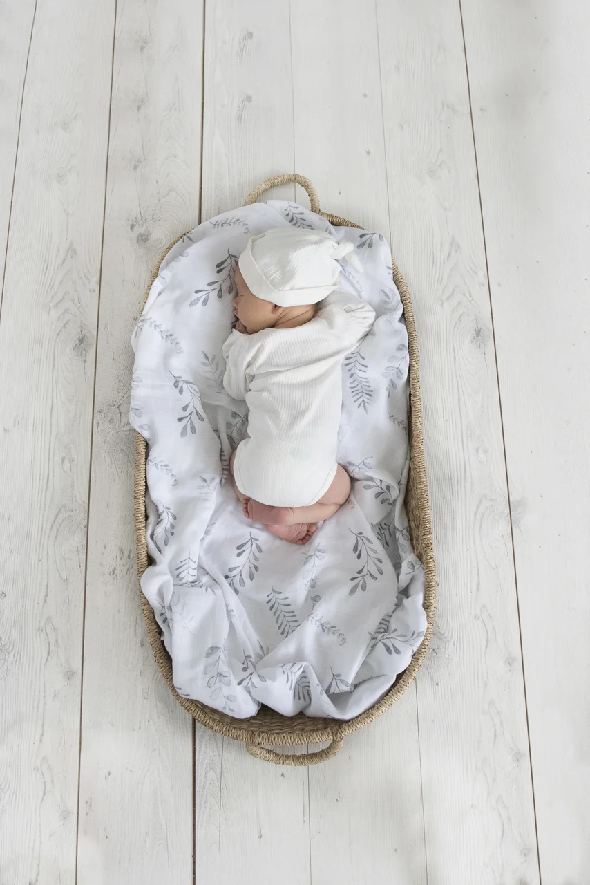 muslin fern 2.jpg