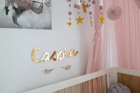 eyelash decals cassia 2.jpg
