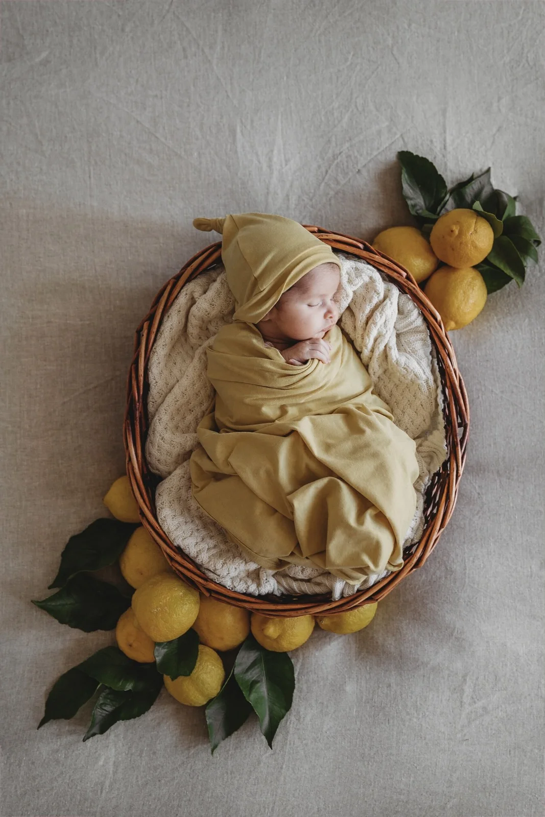 swaddle gelato 2.jpg