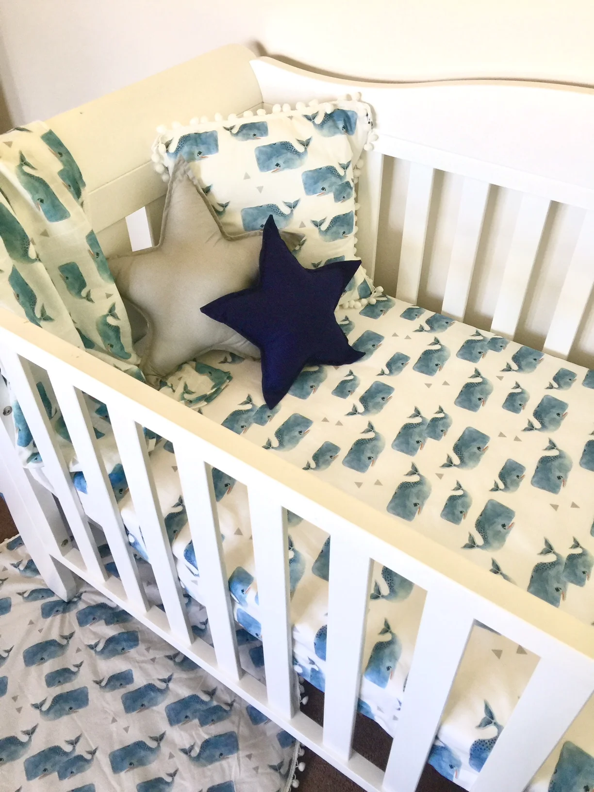 cot sheet blue whales range 2.jpg