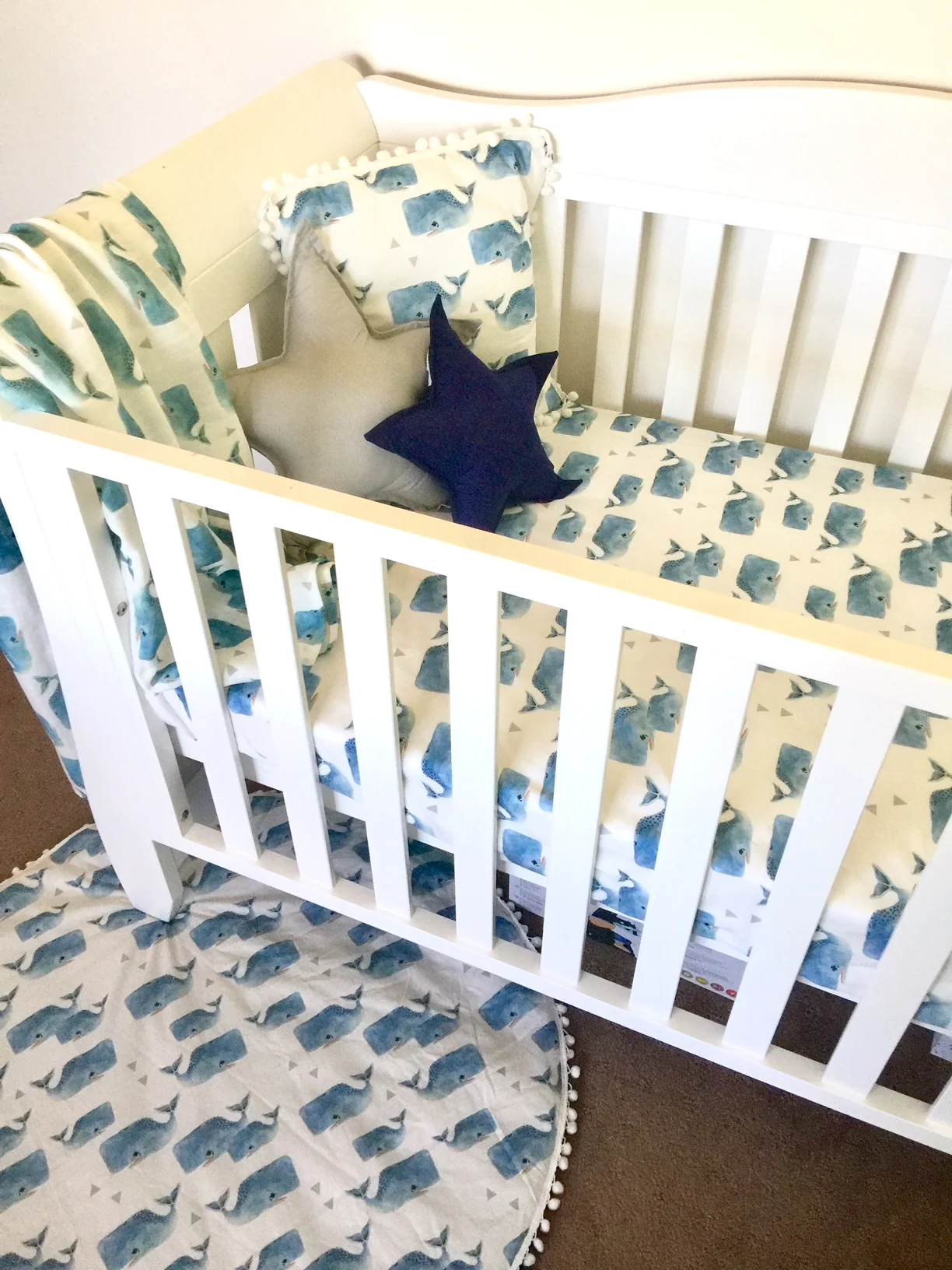 cot sheet blue whales range.jpg