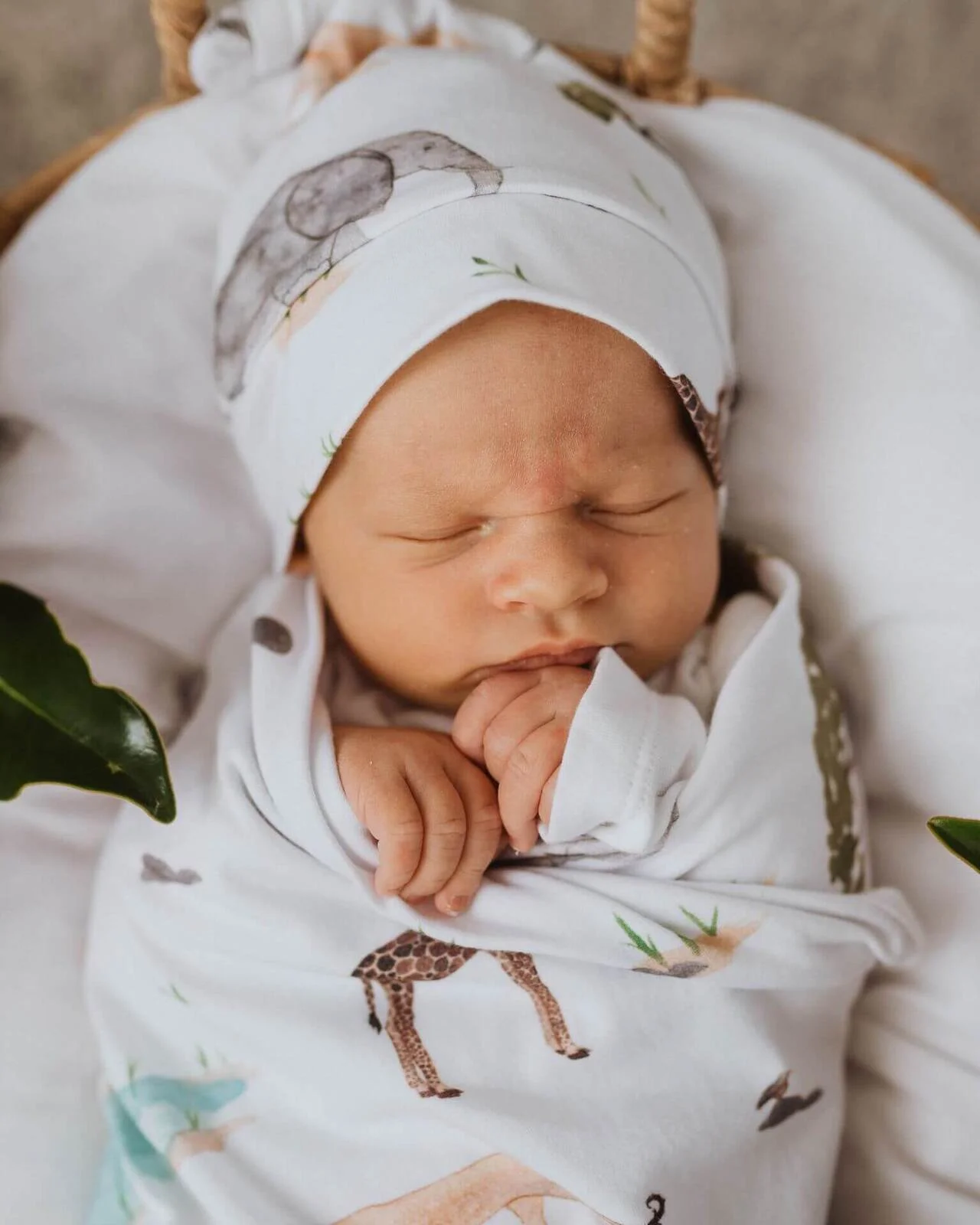 swaddle safari 2.jpg