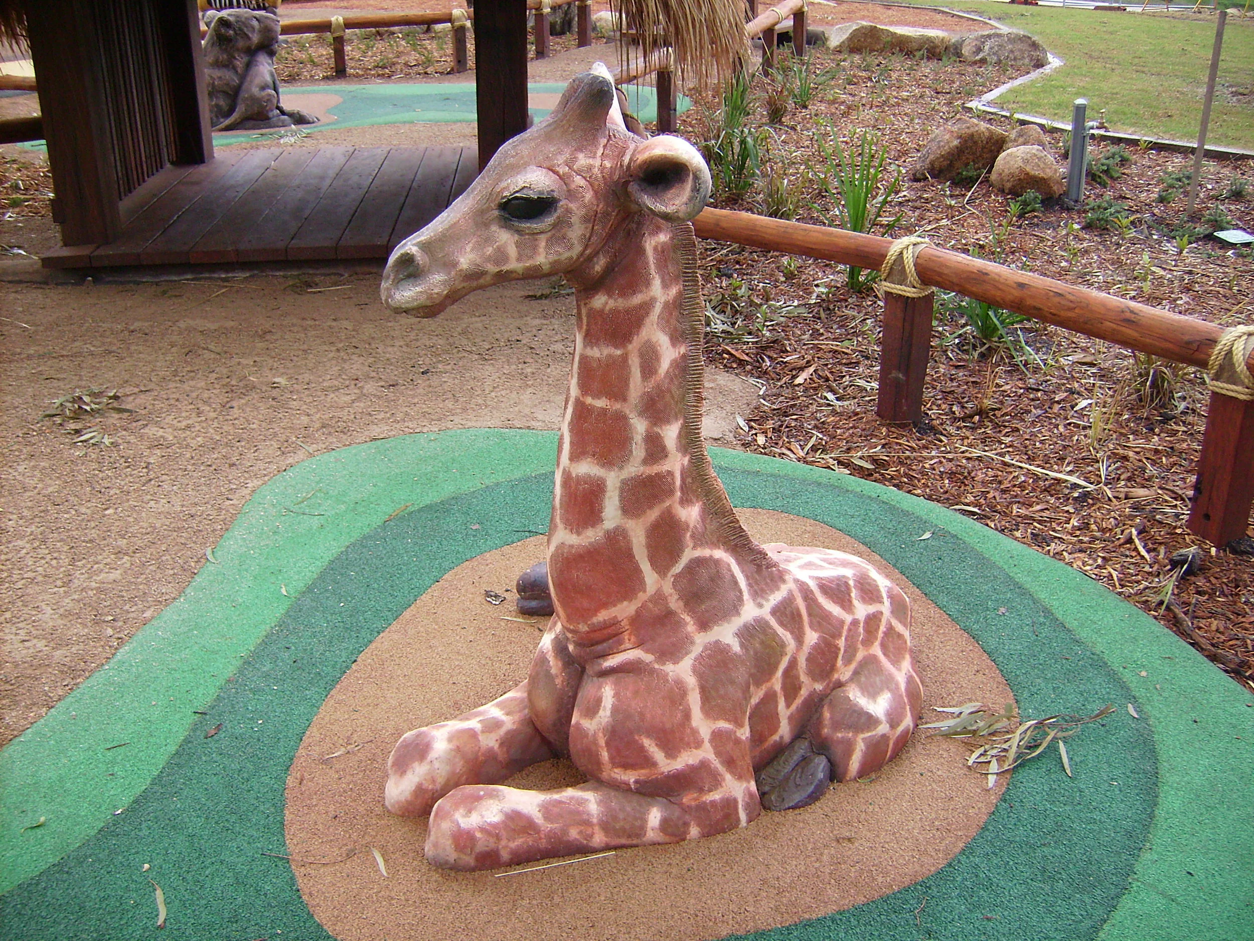 baby giraffe, western plains zoo.JPG