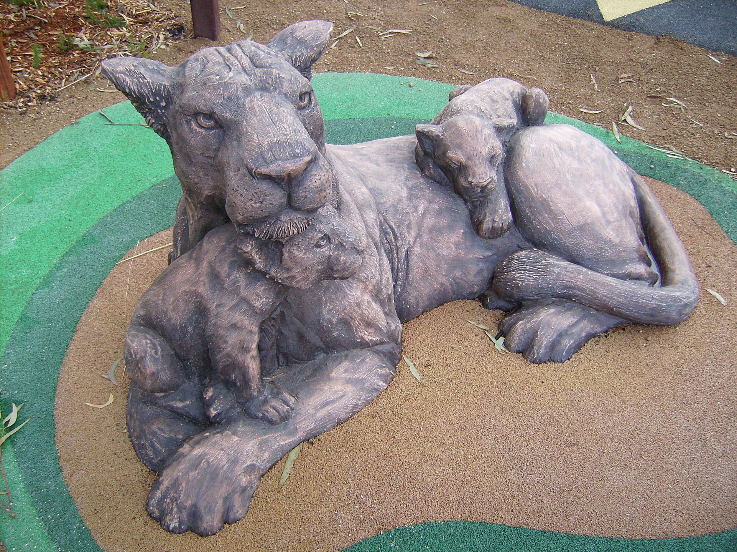 lioness & cubs, western plains zoo.JPG
