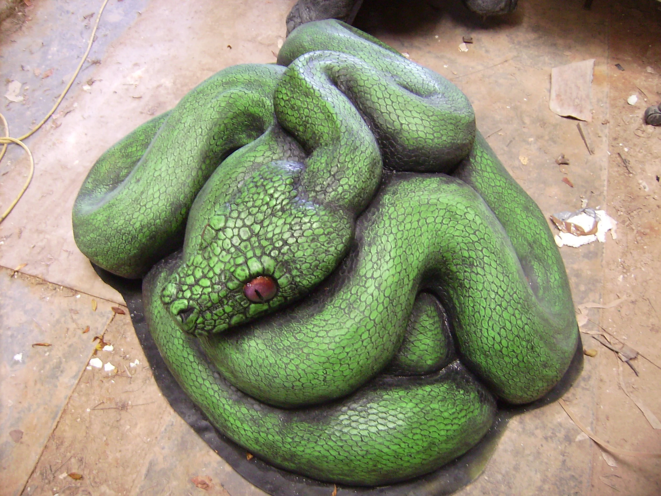python, randwick children's hospital.JPG