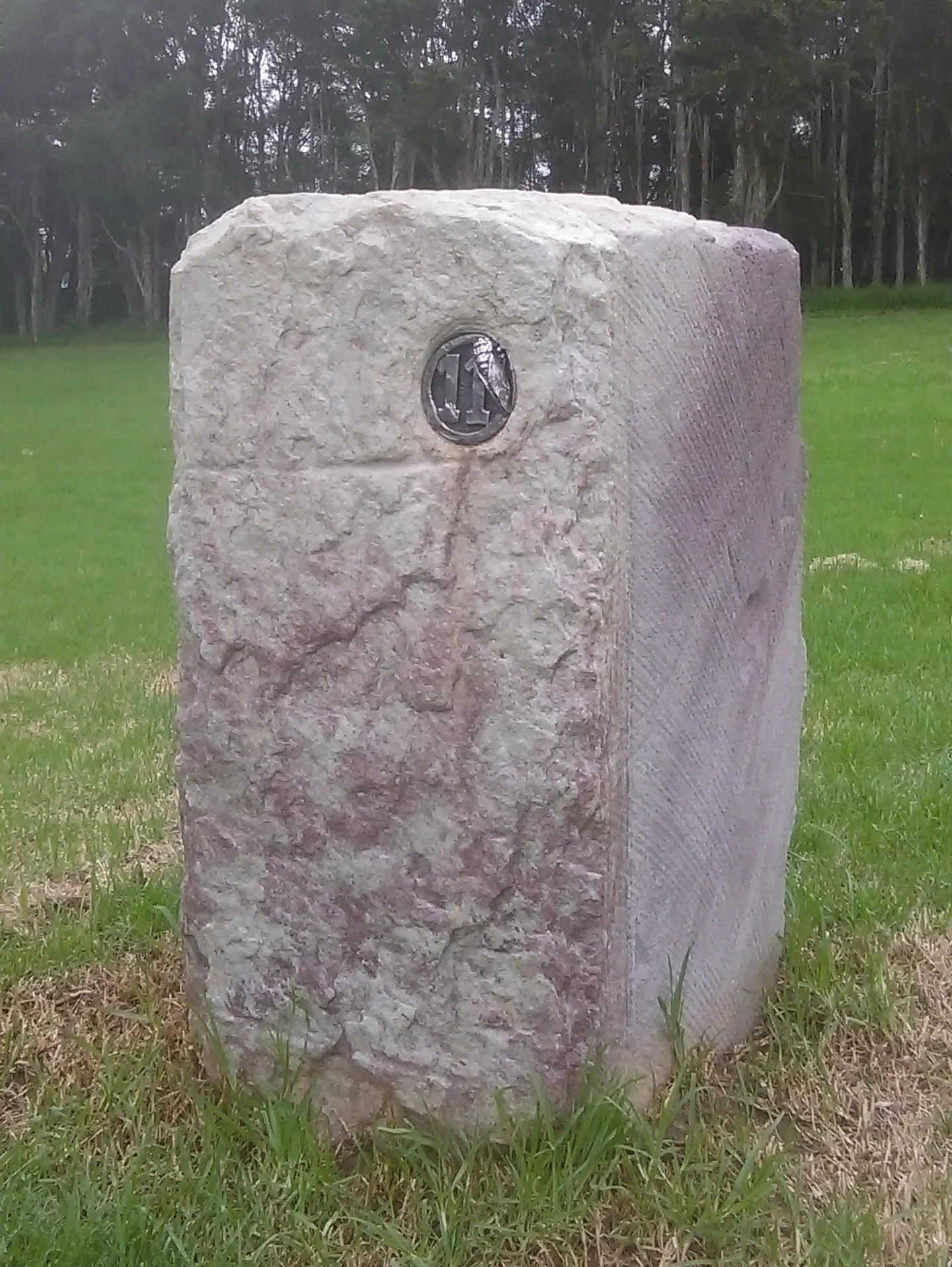 IMAG1380.jpg