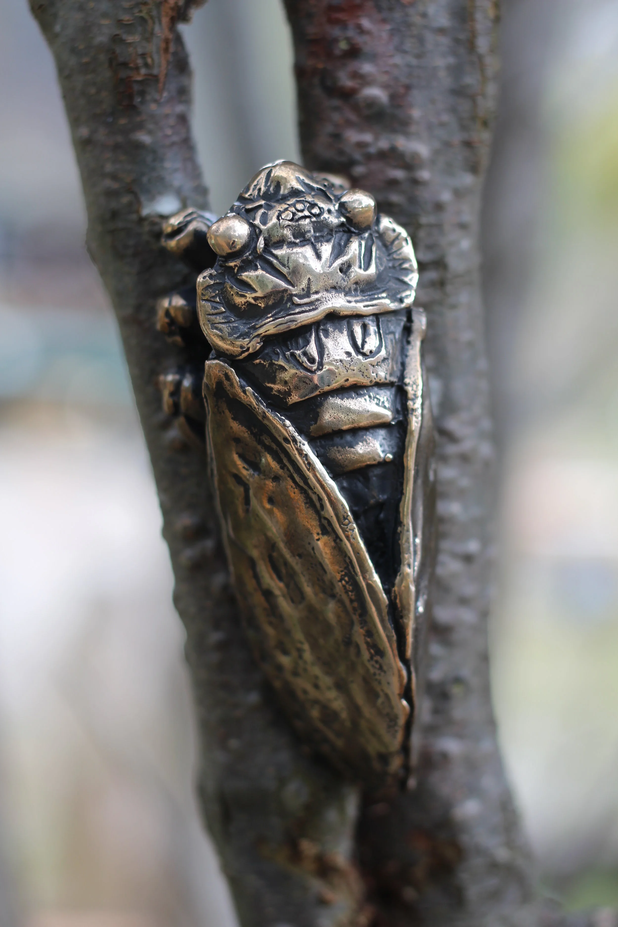Bronze cicada (120mm long)